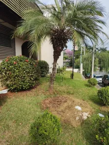 Imóvel Comercial com 11 Quartos para alugar, 643m² no Vila Cecchino, Americana