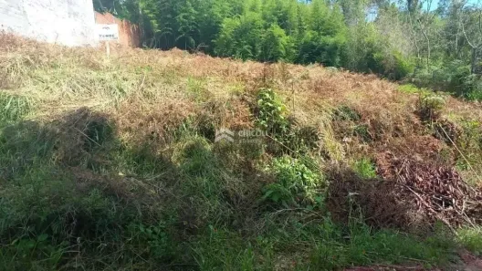 Lote/Terreno à venda, 1181m² no Cupim, Ibiúna