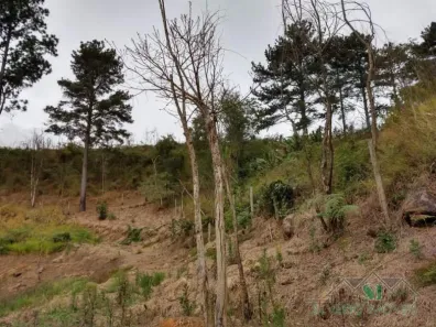 Lote/Terreno à venda, 8582m² no Carangola, Petrópolis