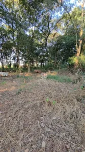 Fazenda/Sítio com 1 Quarto à venda, 1m² no Chácaras Versalhes, Araçatuba