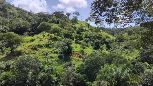 com 2 Quartos à venda, 90m² no , Guiratinga