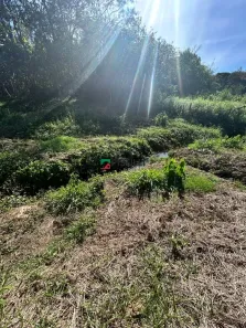 Lote/Terreno à venda, 2500m² no , Lagoinha