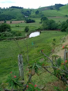 Fazenda/Sítio com 3 Quartos à venda, 1m² no , Silveiras