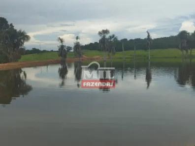 Fazenda/Sítio à venda, 1m² no Setor Aeroporto, Gurupi