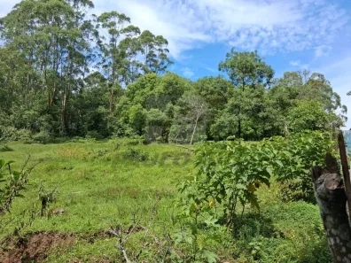 Lote/Terreno à venda, 1m² no Cooperativa, São Bernardo do Campo
