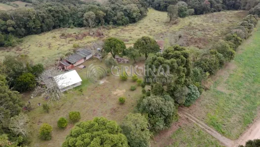 Fazenda/Sítio à venda, 20000m² no Tindiquera, Araucária