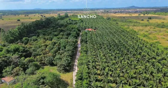 Fazenda/Sítio com 2 Quartos à venda, 270000m² no Patacas, Aquiraz