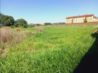 Lote/Terreno à venda, 6640m² no Ipiranga, Ribeirão Preto