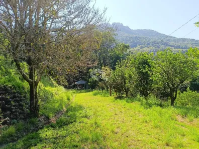 Fazenda/Sítio com 2 Quartos à venda, 53397m² no Vila Cristina, Caxias do Sul