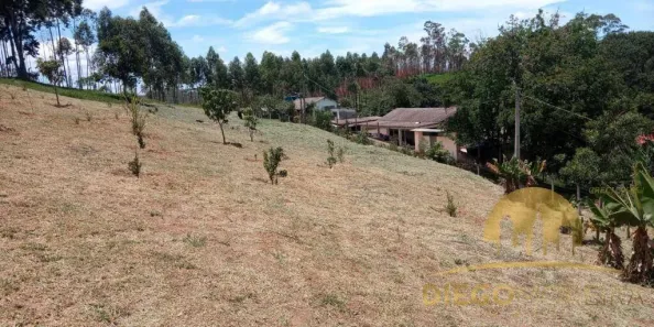 Lote/Terreno à venda, 7800m² no Jundiaizinho (Terra Preta), Mairiporã