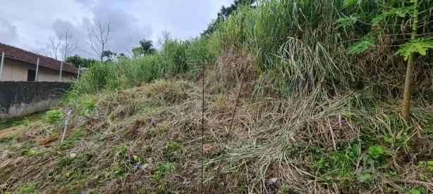 Lote/Terreno à venda, 5688m² no Agronômica, Florianópolis