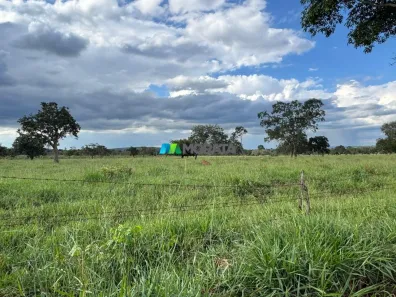 Fazenda/Sítio com 1 Quarto à venda, 444m² no Tomás Gonzaga, Curvelo