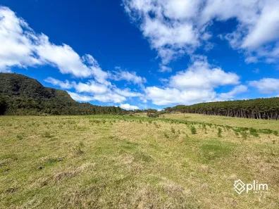 Fazenda/Sítio com 1 Quarto à venda, 335000m² no , Bom Retiro