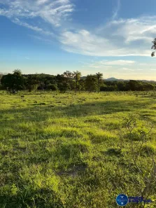 Fazenda/Sítio com 3 Quartos à venda, 136m² no Setor Central, Crixás