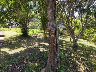 Fazenda/Sítio com 4 Quartos à venda, 4821m² no Jardim Arujá, Arujá