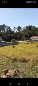 Lote/Terreno à venda, 622m² no Jardim Julieta, Taubaté