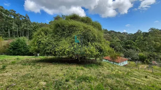 Fazenda/Sítio com 3 Quartos à venda, 2m² no , Delfim Moreira