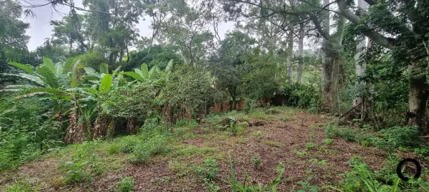 Lote/Terreno à venda, 1517m² no Perequê, Ilhabela