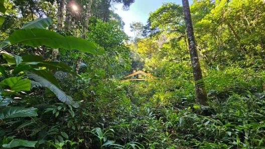 Fazenda/Sítio com 1 Quarto à venda, 48400m² no , Morretes