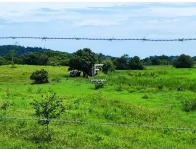 Fazenda/Sítio à venda, 790000m² no Papucaia, Cachoeiras de Macacu