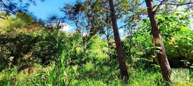Lote/Terreno à venda, 496m² no Parque Residencial Itaguaçu, Atibaia