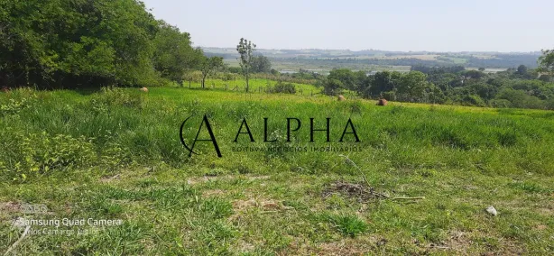 Lote/Terreno à venda, 250m² no Portal do Cedro, Iperó