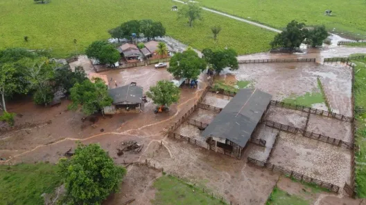 Fazenda/Sítio com 3 Quartos à venda, 1150m² no , São Félix do Xingu