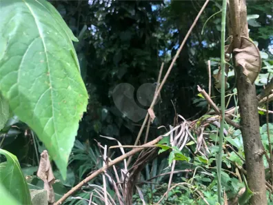 Lote/Terreno à venda, 779m² no Roseira, Mairiporã