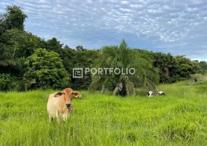 Fazenda/Sítio com 6 Quartos à venda, 2080000m² no ,