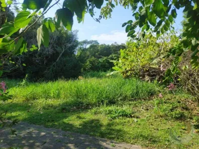 Lote/Terreno à venda, 819m² no Rio Tavares, Florianópolis