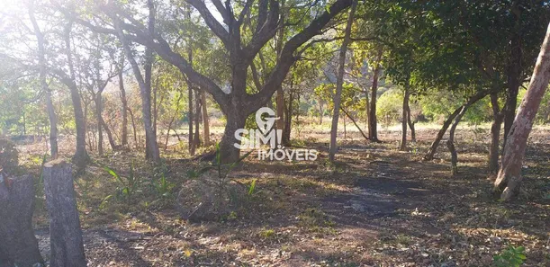 Fazenda/Sítio à venda, 3300m² no , Barrolândia