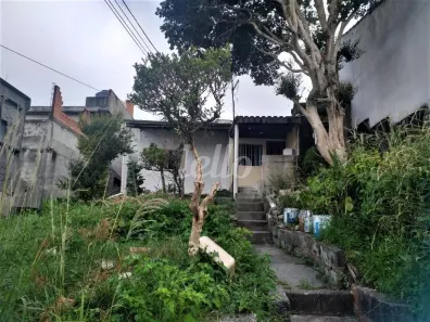 Lote/Terreno à venda, 260m² no Vila Dalila, São Paulo