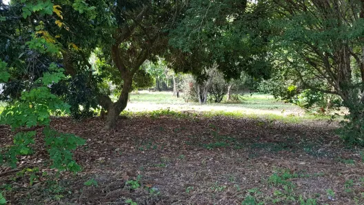 Fazenda/Sítio com 4 Quartos à venda, 290m² no Pompéia, Piracicaba