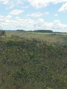 Fazenda/Sítio com 1 Quarto à venda, 6800000m² no , Tiros