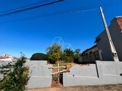 Lote/Terreno à venda, 440m² no Alto Cafezal, Marília