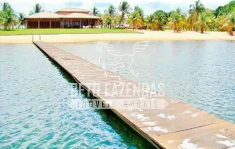 Fazenda/Sítio à venda, 118290000m² no , Jussara