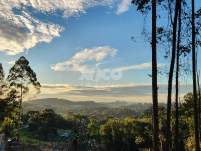 Fazenda/Sítio com 1 Quarto à venda, 5000m² no Dos Boêmios, Nova Petrópolis