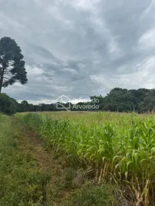 Lote/Terreno à venda, 121354m² no , São José do Cerrito