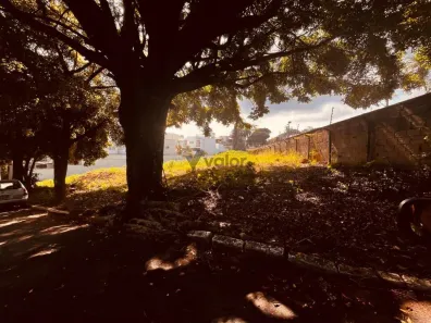 Lote/Terreno à venda, 480m² no Jardim Santa Marcelina, Campinas