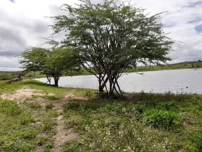 Fazenda/Sítio com 3 Quartos à venda, 5000000m² no Paizinho Maria, Currais Novos