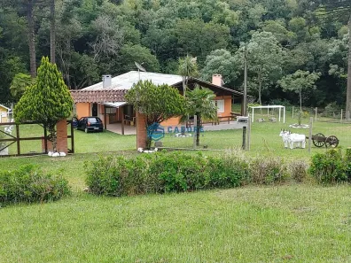 Fazenda/Sítio com 4 Quartos à venda, 31000m² no Ana Rech, Caxias do Sul