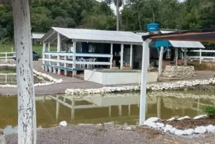 Fazenda/Sítio com 2 Quartos à venda, 15000m² no Centro, Morretes