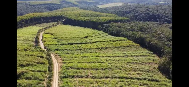 Fazenda/Sítio com 1 Quarto à venda, 459800m² no , São Miguel Arcanjo