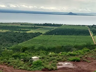 Fazenda/Sítio à venda, 540000m² no Pau a Pique, Casa Nova