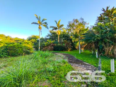 Lote/Terreno à venda, 629m² no Do Ubatuba, São Francisco do Sul