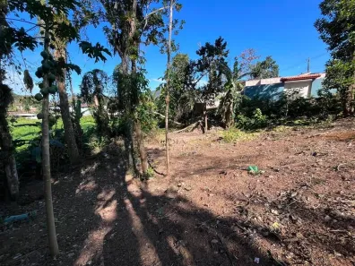 Lote/Terreno à venda, 1259m² no Sertão da Quina, Ubatuba
