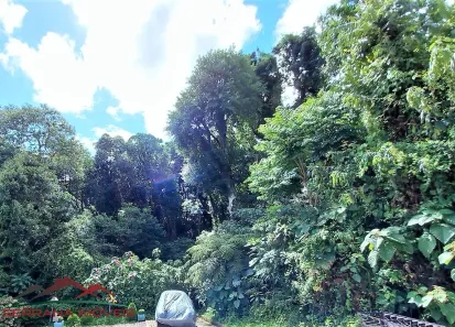 Lote/Terreno à venda, 2800m² no Nova Petrópolis, Nova Petrópolis