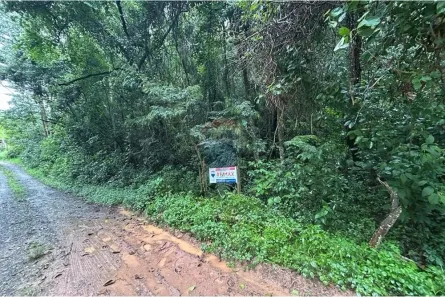 Lote/Terreno à venda, 1220m² no Capoavinha, Mairiporã