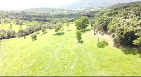 Fazenda/Sítio à venda, 111111m² no Vila São José, Inhumas