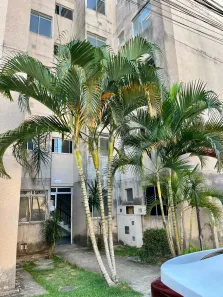 Apartamento com 2 Quartos para alugar, 40m² no Parque Nascente do Rio Capivara, Camaçari